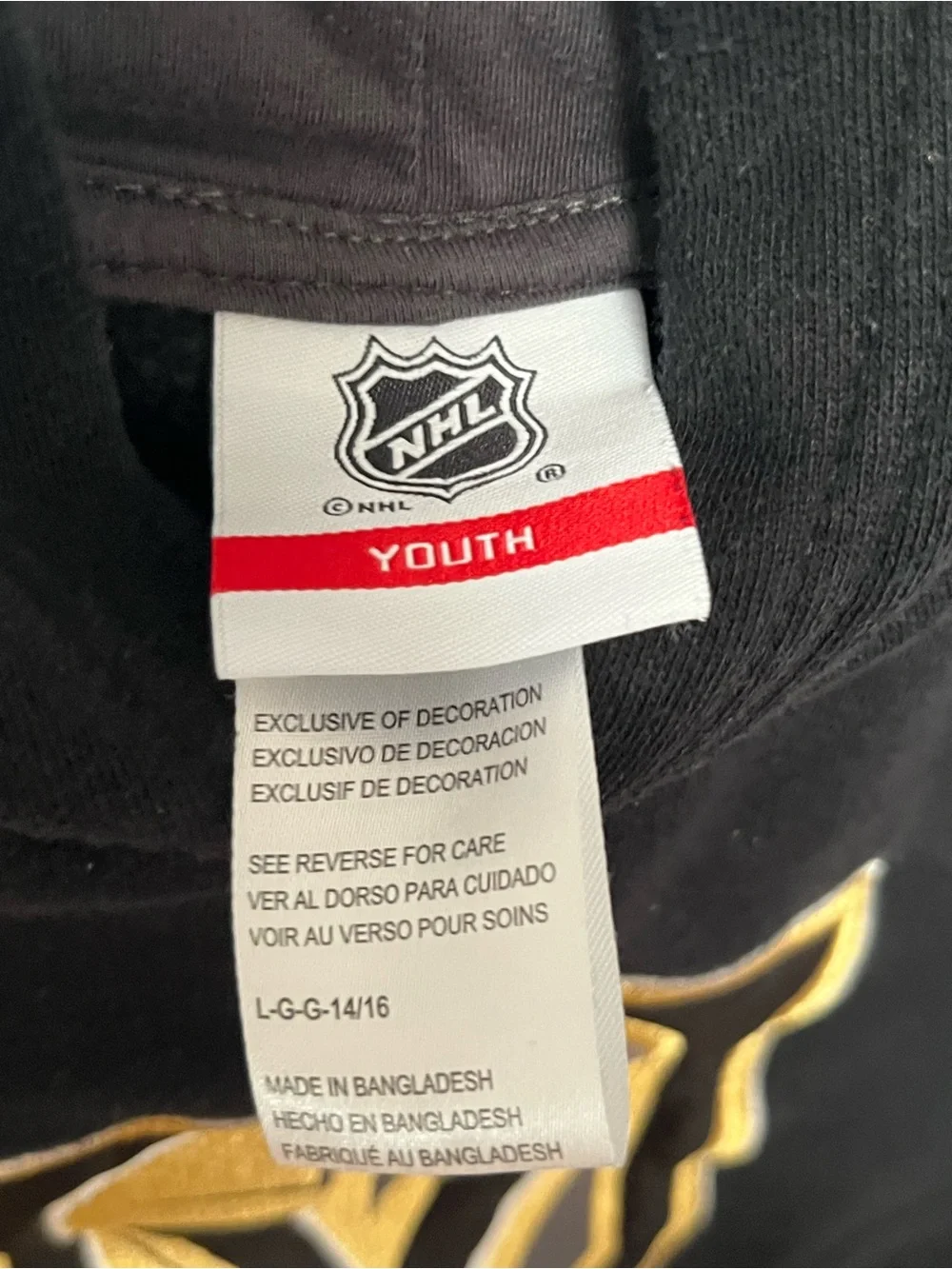 NHL kids hoodie